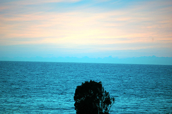 Cambria February 2011 035.JPG